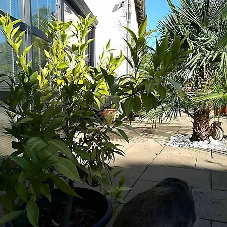 La Rosaliere Bed & Breakfast 3*