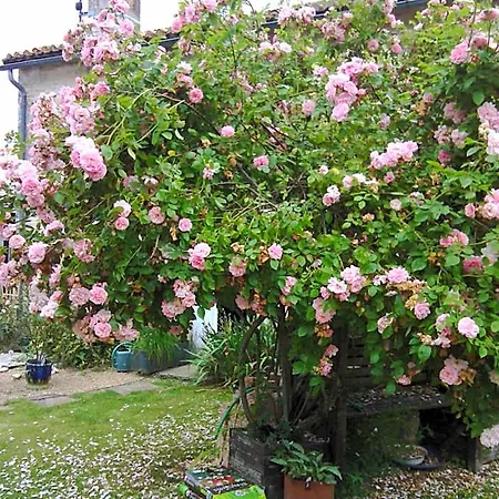 La Rosaliere Bed & Breakfast Chabournay