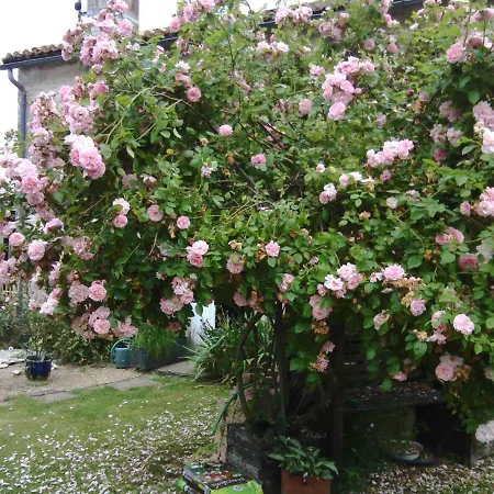 La Rosaliere Bed & Breakfast Chabournay
