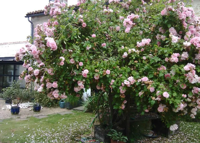 La Rosaliere 住宿加早餐酒店 Chabournay