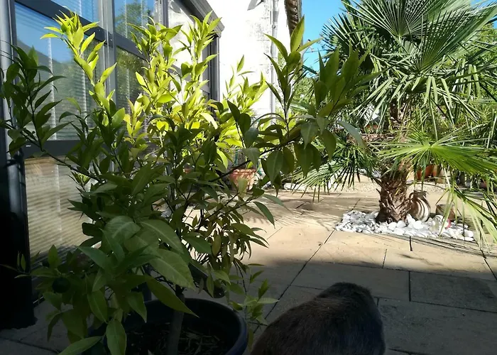 La Rosaliere Bed & Breakfast